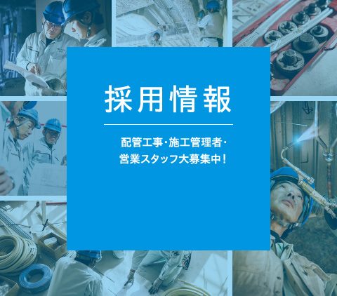 採用情報